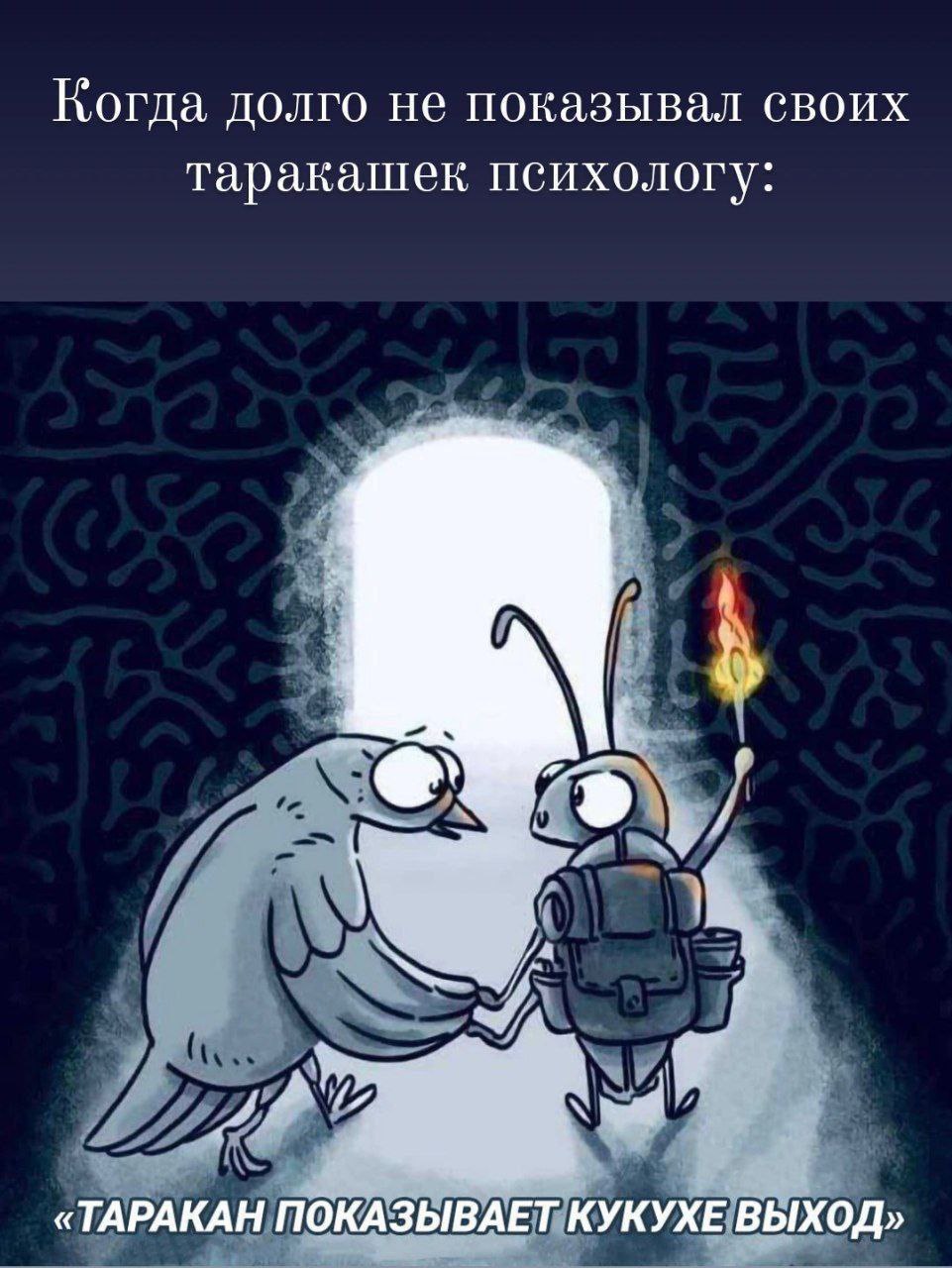humor-272